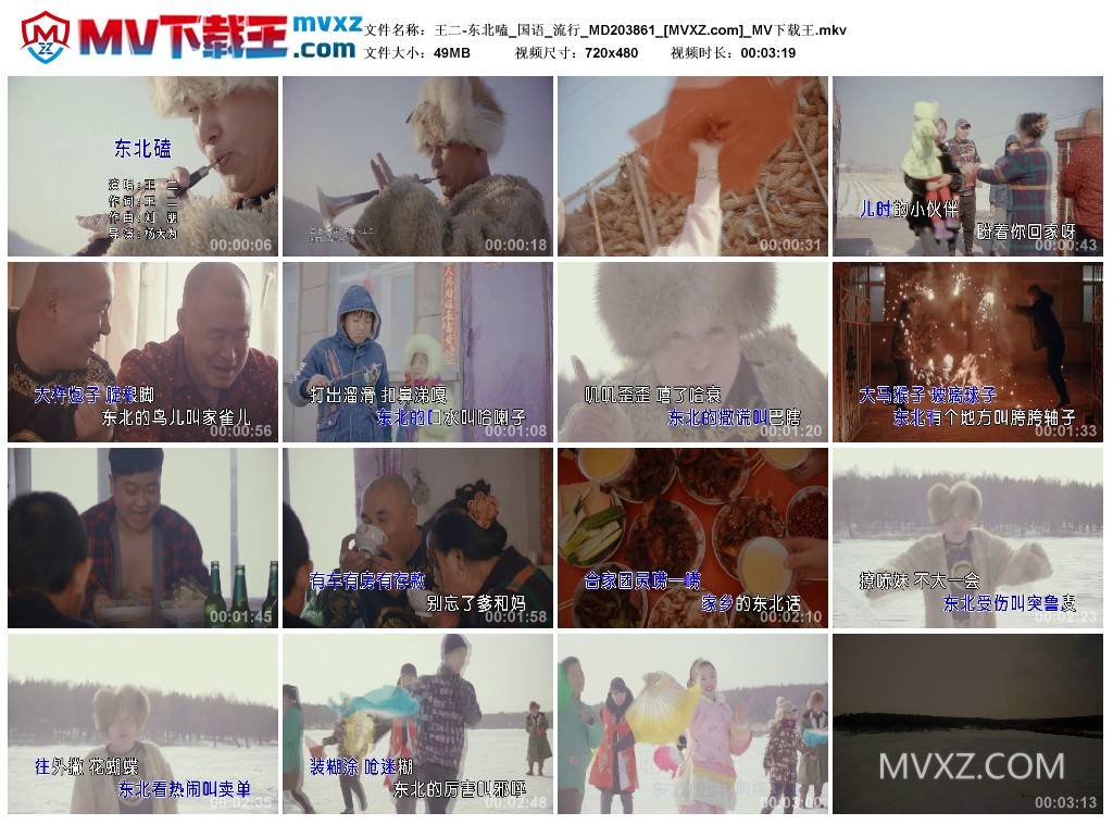 王二-东北嗑_国语_流行_MD203861